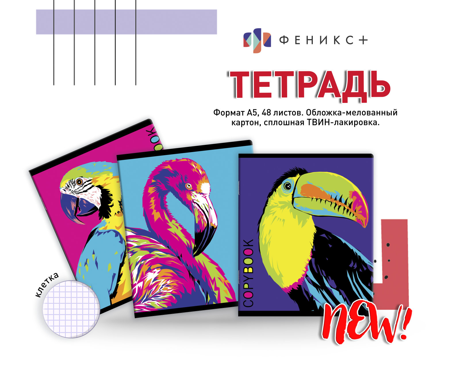 Новые тетради. Реклама тетради. Реклама тетрадок. Феникс тетради. Тетрадь 96 листов Феникс+ в клетку.