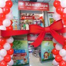 Плюс два: в Брянске начали работу новые магазины «КанцПарк»