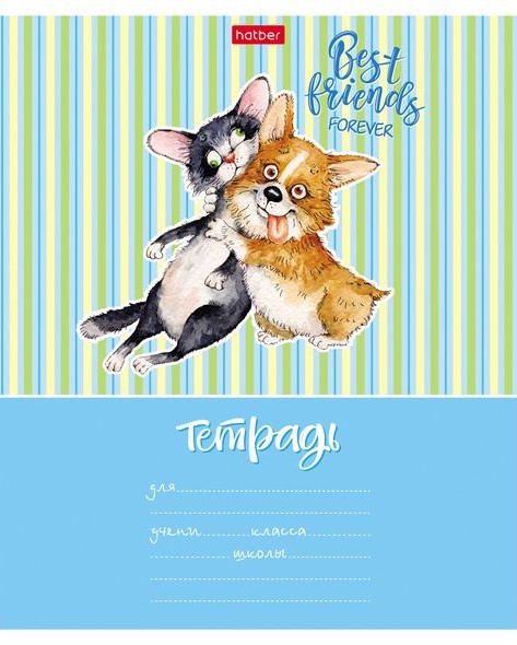 Коллекция Hatber: Из жизни корги. Коллекция Hatber: Из жизни корги.