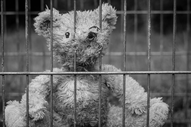 С начала года уральские таможенники нашли контрафактные игрушки на 370 миллионов С начала года уральские таможенники нашли контрафактные игрушки на 370 миллионов