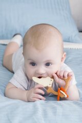 ����� ����� ������� �������������� FOX TEETHER � BUNNY TEETHER