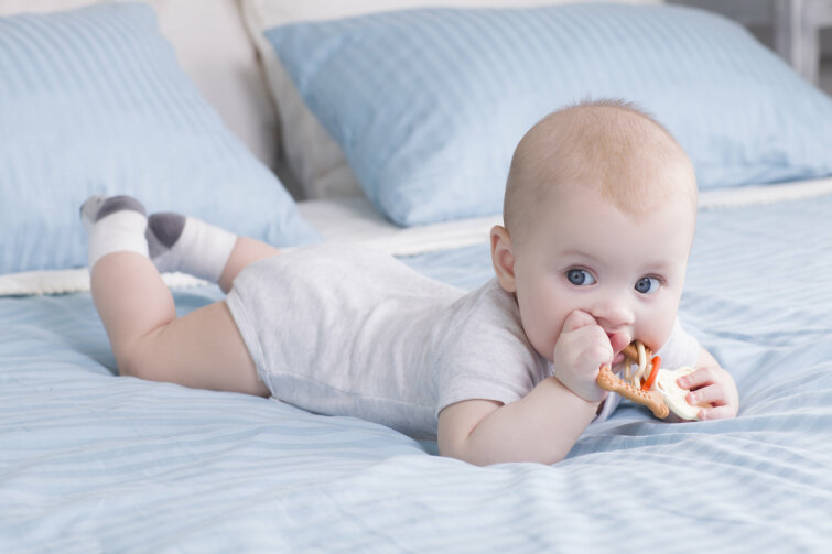 ����� ����� ������� �������������� FOX TEETHER � BUNNY TEETHER