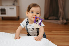 ����� ����� ������� �������������� FOX TEETHER � BUNNY TEETHER