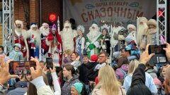 В гостях у сказки: Энциклопедия Дедов Морозов на празднике в парке «Нелжа» В гостях у сказки: Энциклопедия Дедов Морозов на празднике в парке «Нелжа»