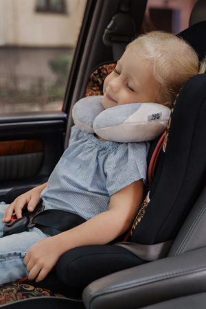 �������� ������ ��������� �� ������ ����, �� � ���� � ROXY-KIDS.