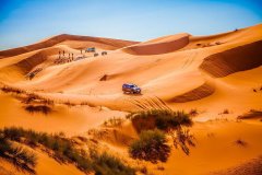 ������ ��� �������-2020 �� &laquo;������� �����&raquo;