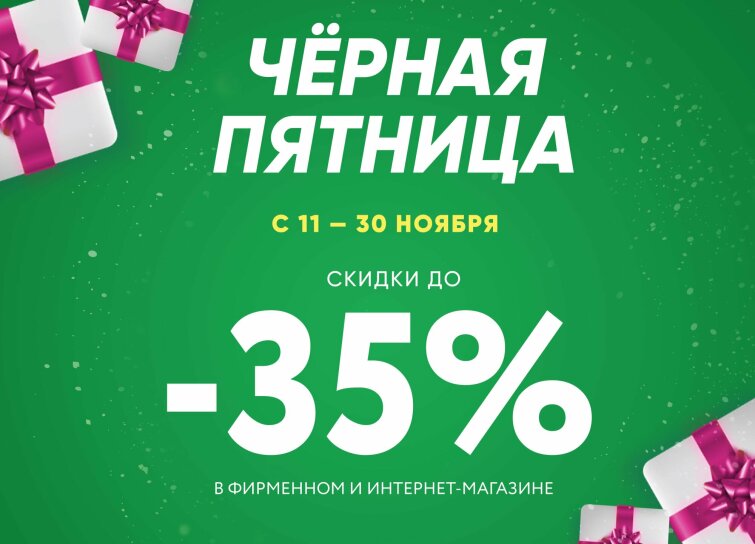 ׸���� �������