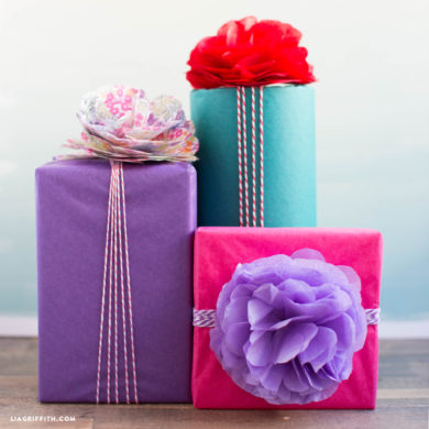����� �� TM Werola: ������������ ������������!