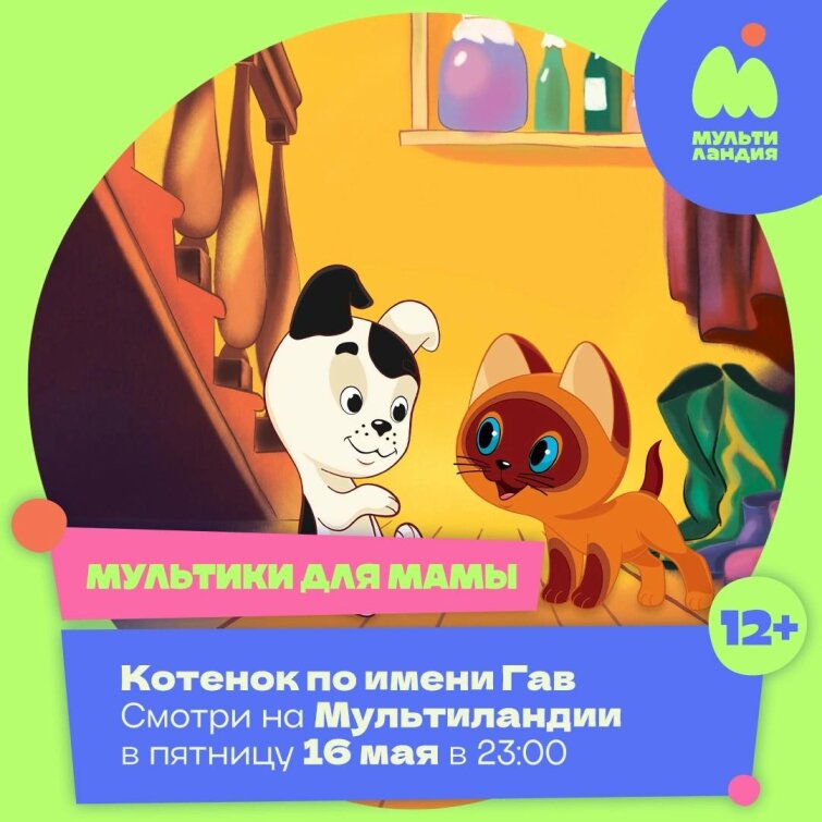 ������� ���������� �� &laquo;������������&raquo;
