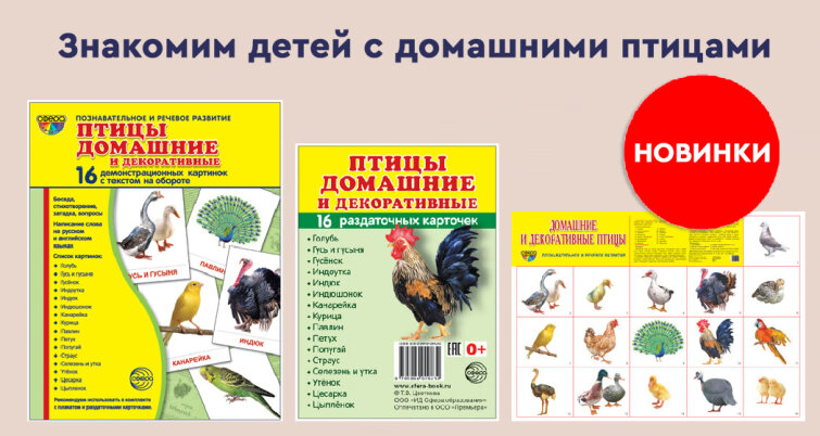 Сфера картинок: знакомим детей с декоративными птицами Сфера картинок: знакомим детей с декоративными птицами