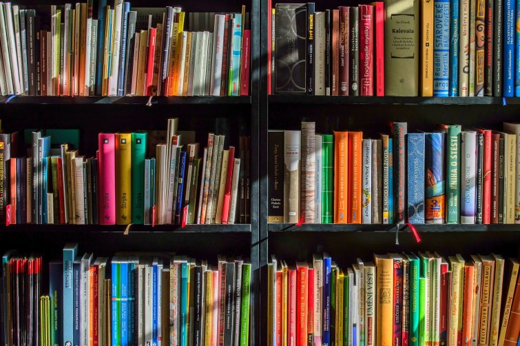 Книжные магазины получат право на льготную аренду Книжные магазины получат право на льготную аренду