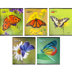 ����� ������� 48 ������ Creativiki
