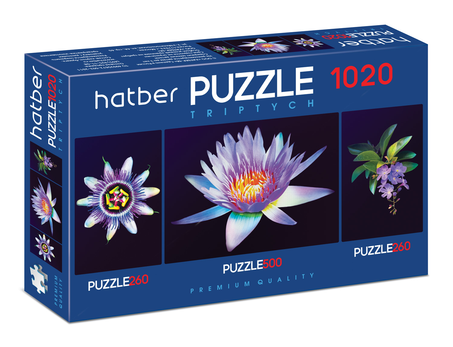 ����� TRIPTYCH �� Hatber Premium.
