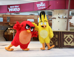 � ������ �������� ������ � ���� ���� ����������� &laquo;��� Angry Birds&raquo;