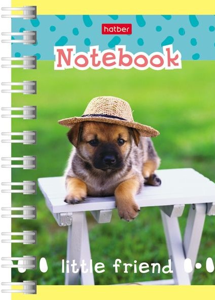 �������� ������ Hatber: �7 ������.