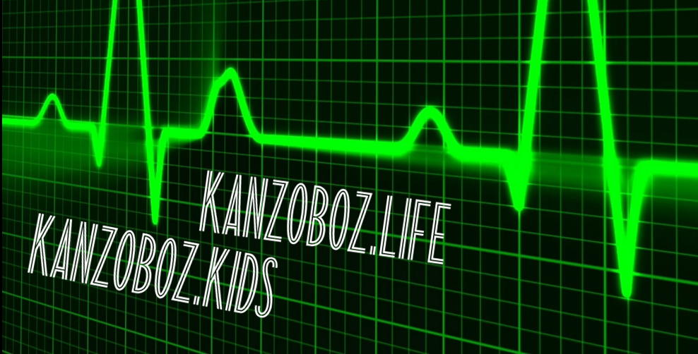 ������������ ����� � ������� KANZOBOZ.LIFE + KANZOBOZ.KIDS 2022