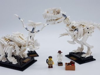 Lego ��������� ����������� � ���� ������������� ����������