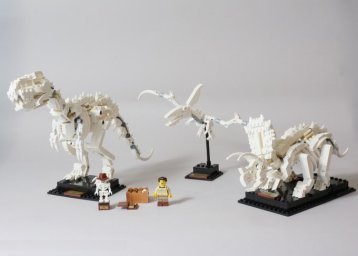 Lego ��������� ����������� � ���� ������������� ����������