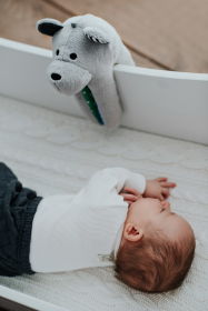 Kids′ Time представляет: торговая марка Whisbear (Польша) Kids′ Time представляет: торговая марка Whisbear (Польша)