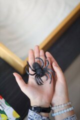 �������� �������: ���������� ������� ����� ������ �� �����