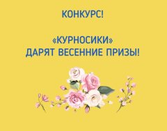 «Курносики» дарят весенние призы! «Курносики» дарят весенние призы!