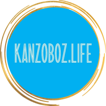 ���������� � ����������� ������ � ����� ������ ������� KanzOboz.LIFE