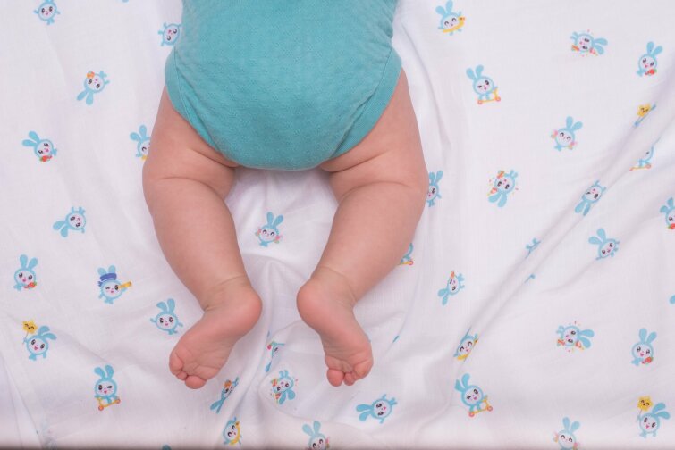 Adam Stork �������� �������������� ��������� ������������ �������� ��� ������������� � ������������